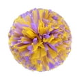 thumbnail image 1 of Binwennn Party Decorations for Women Party Decorations for Women 50th Birthday Birthday Party for Kids 8-12 2PCS Cheerleaders Handheld Color Flower Sports Activities Performance Cheering, 1 of 4