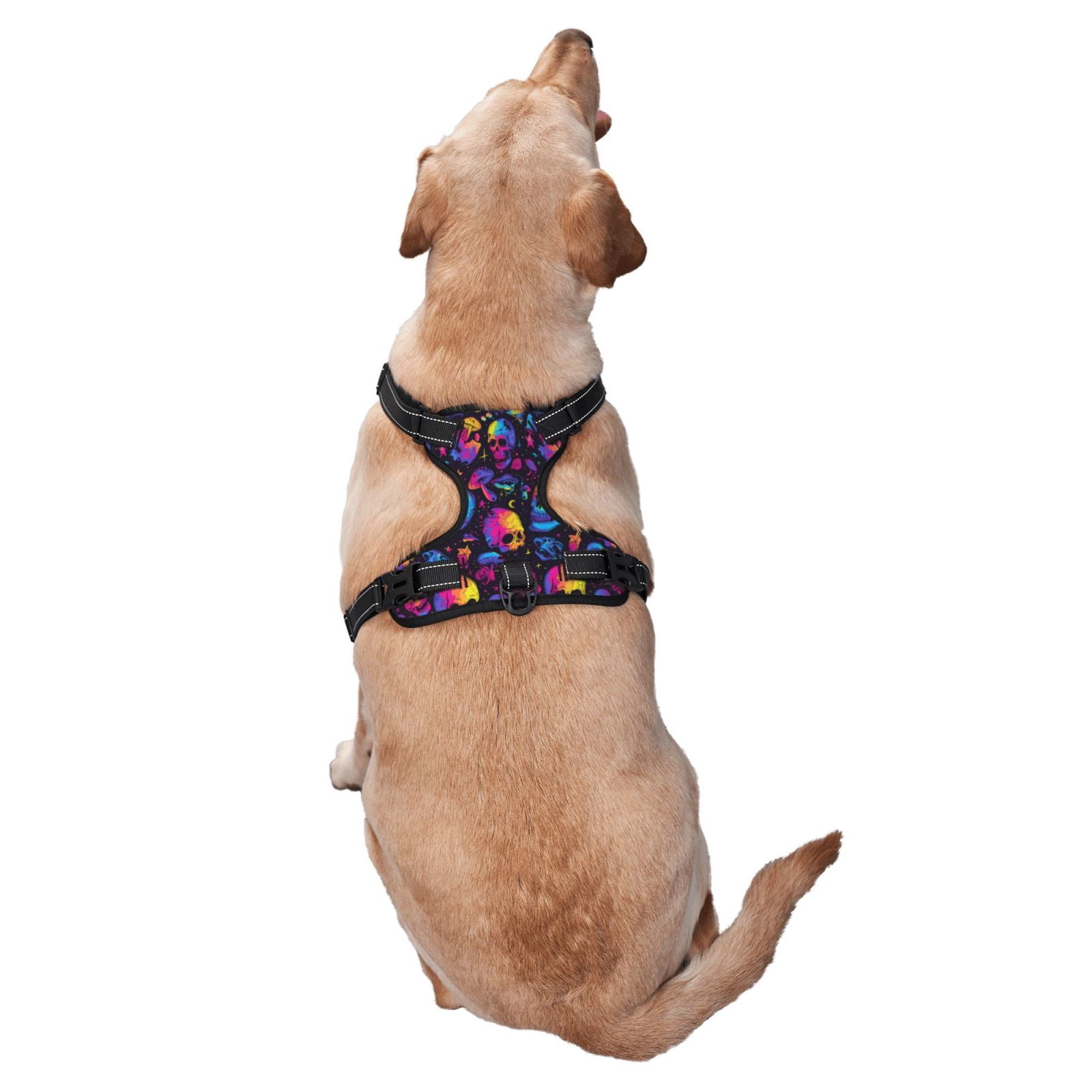 Vsdgher mushroom rainbow color Skull Pattern Dog Harness,No Pull Pet Harness with Soft Padded Handle,Adjustable Reflective Vest with 2 Buckles,4 Slide Buckles,S-XL Large