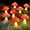 8 pack red, variant on 8-Pack Red Solar Mushroom Lamp, 8 Modes, Outdoor Waterproof, for Garden Decor, Christmas, Halloween, Yard, Lawn