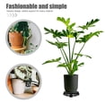 thumbnail image 3 of BESTYASH Decorativa Para Plantas Previene Derrames Y Suelos, 3 of 7