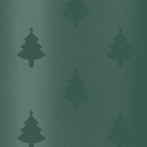Winter Forest