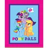 Hasbro Bros My Little Pony Pals No Sew Fleece Throw Kit, Fuschia