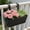 Black, variant on NWOKYZGH 1 Pack Metal Iron Hanging Flower Pot, Oval Railing Planter Fence Garden Balcony Planter Hanging Plant Pot Metal Bucket Flower Holders with Detachable Hooks for Outdoor Indoor Home Décor