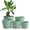 Speckled Mint, variant on Utopia Home - Plant Pots Indoor with Drainage - 7/6.6/6/5.3/4.8 Inches Home Decor Flower Pots - Plastic Planters for Indoor Plants, Cactus, Succulents Pot (Spotty Mint, Pack of 5)