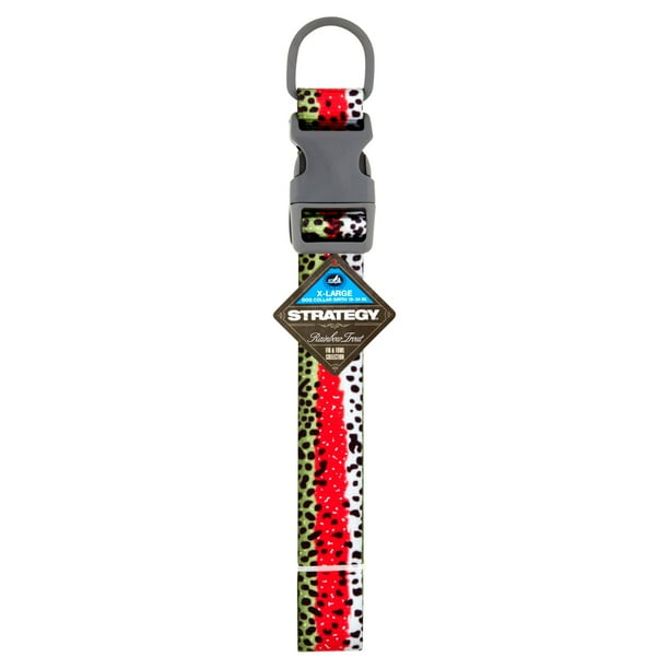 Pet Champion Rainbow Trout Strategy Fin and Foul Series Dog Collar