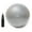 Silver, variant on Exercise Ball with Pump - Professional Grade Anti-Burst Fitness and Balance Ball