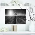 thumbnail image 1 of Beautiful Black White Lavender Field - Extra Large Landscape Canvas Art, 1 of 3