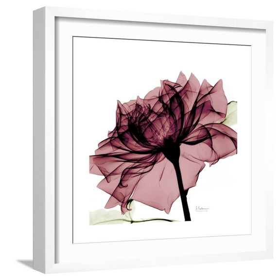 Art.com Chiant Rose 1 Premium Giclee Print by Albert Koetsier, White Frame Wall Art, 21" x 21"