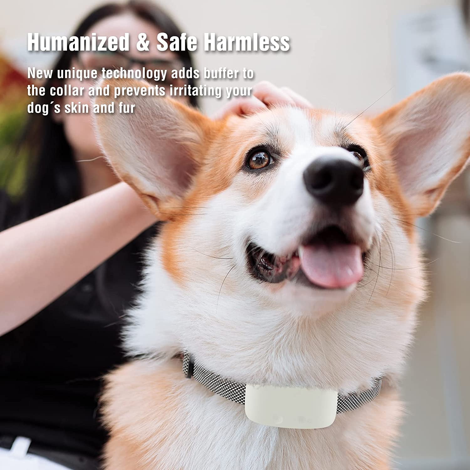 Anti bark shock collar for small dogs discount