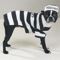 Casual Canine Prison Pooch Costume X-Small - Black and White - X-Small
