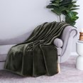 thumbnail image 4 of Better Homes & Gardens Soft Plush Green Throw Blanket, 4 of 5
