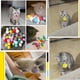 thumbnail image 4 of 20/100/200/300/500 piezas de juguetes para gatos, lindas y divertidas pelotas de peluche elásticas, juguetes creativos y coloridos para gatos, pelotas interactivas, juguetes para masticar, 4 of 5