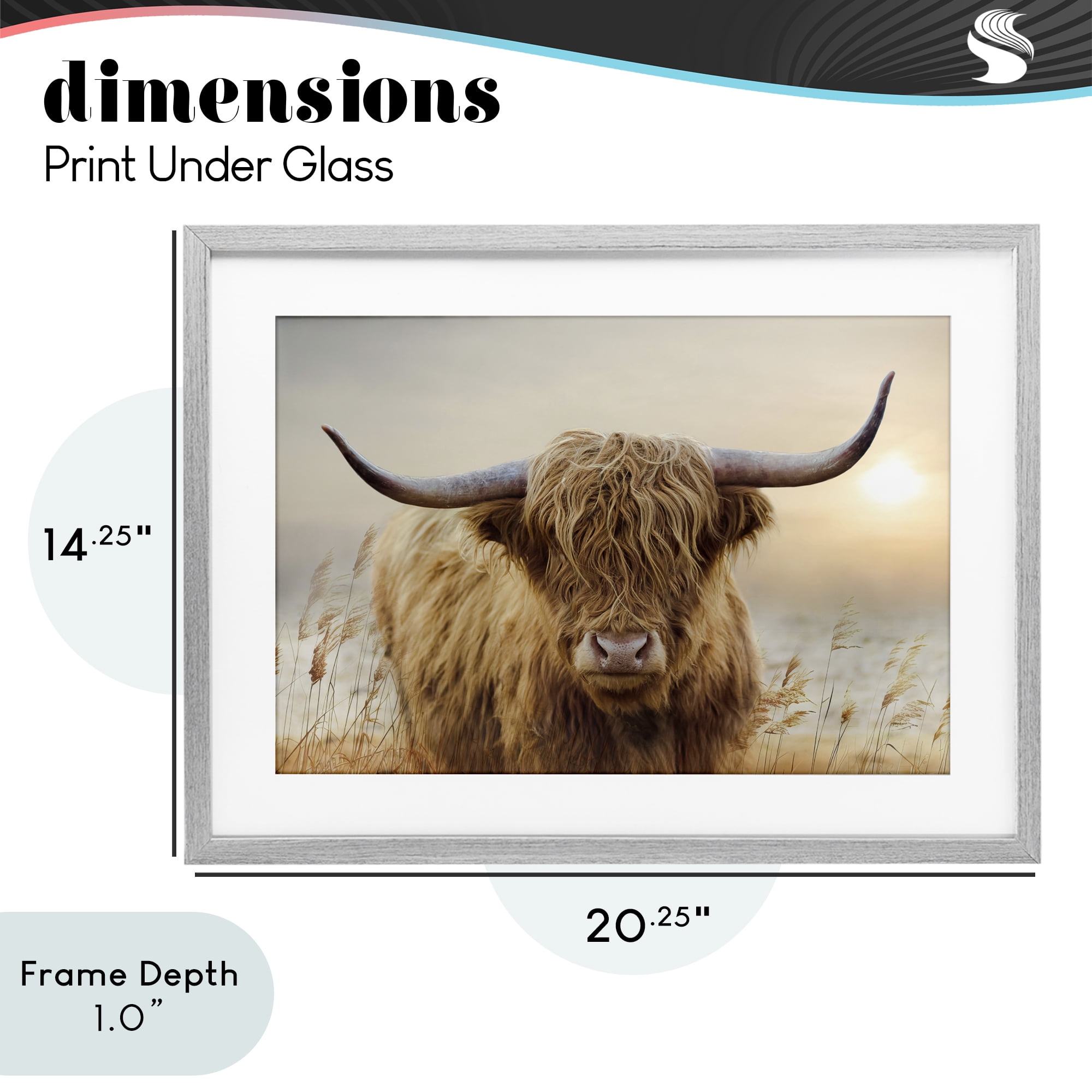 Stupell Industries Highland Cow & Warm Sunset Gray Framed Print Under Glass, design by CAD Designs