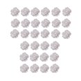 thumbnail image 2 of NIBOLOG 30Pcs Flower Nail Decor Glitter Stylish Nail Accessories Artificial Flower Nail Art Stud for Salon, 2 of 8