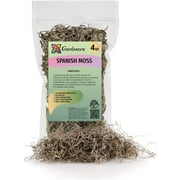 Premium Natural Spanish Moss | Natural Preserved - Great Ground Cover - Filler for Potted Plants - by GARDENERA - 4 Quart Bag