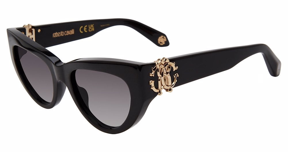 Salvatore Ferragamo サングラスキャットアイ ブラックブラウン Salvatore Ferragamo Eyewear Eyeglasses & Sunglasses