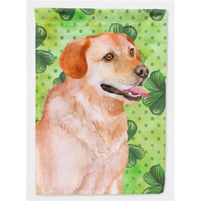 Carolines Treasures BB9888GF Labrador Retriever Drapeau St.Patricks - Taille Jardin