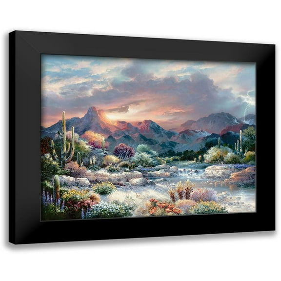 Lee, James 14x12 Black Modern Framed Museum Art Print Titled - Sonoran Sunrise