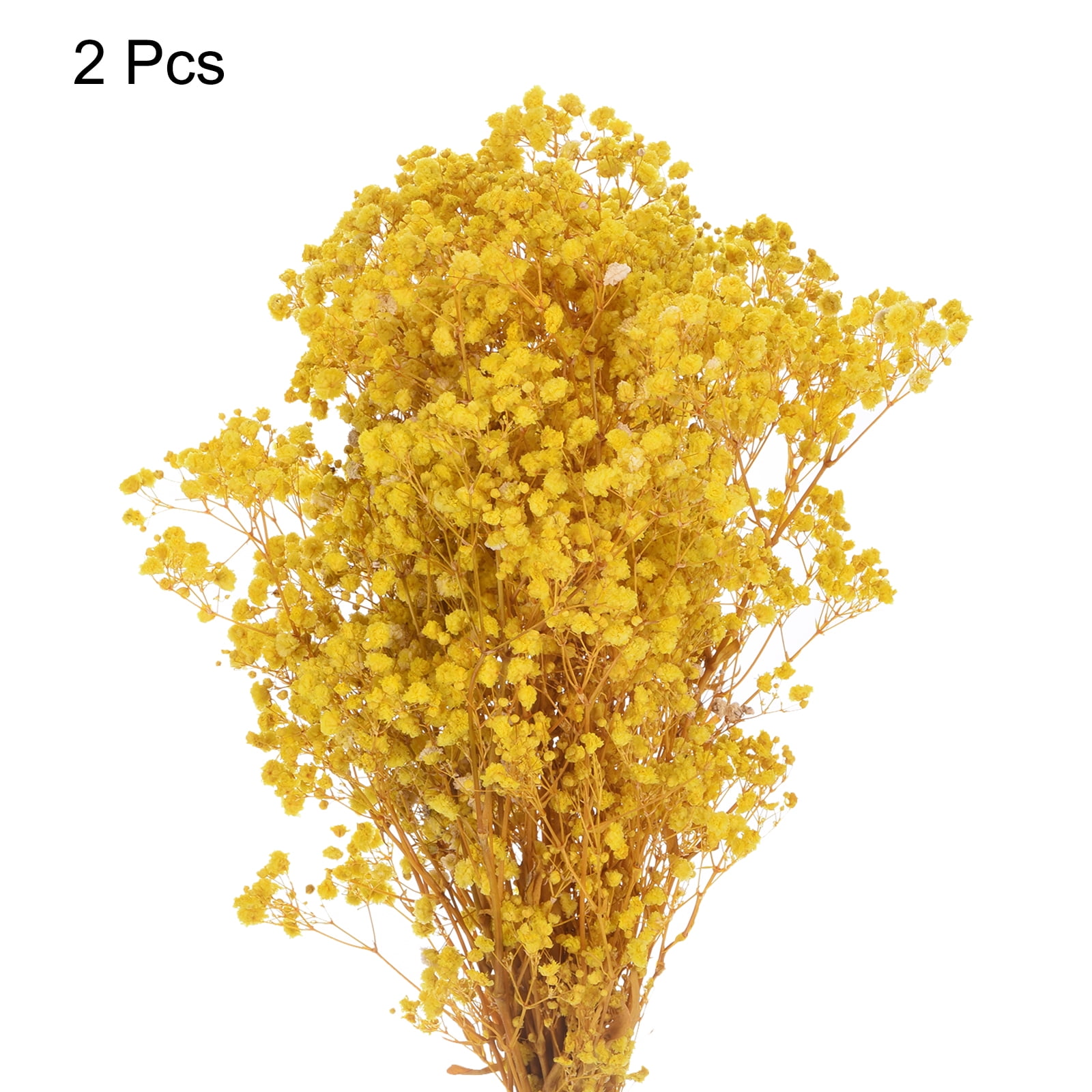 Uxcell Dried Baby's Breath Flowers 12 Inch Gypsophila Yellow Natural Baby's Breath Branches for Wedding Party Home Decoration 2 Pcs