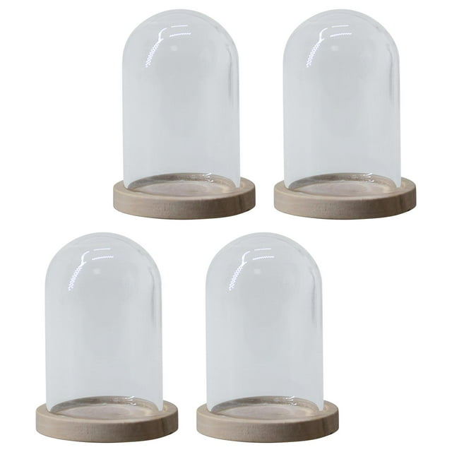 4 Pieces Cloche Dome Holder with Base for Decoration Home Garden Dome Wood Base