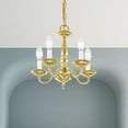 thumbnail image 3 of Livex Lighting Williamsburgh 5 Light Polished Brass Chain Hang/Ceiling Mount, 3 of 15