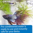 thumbnail image 3 of Mars Fishcare North Amer 94Q 31 oz Betta Water for Fish, 3 of 5