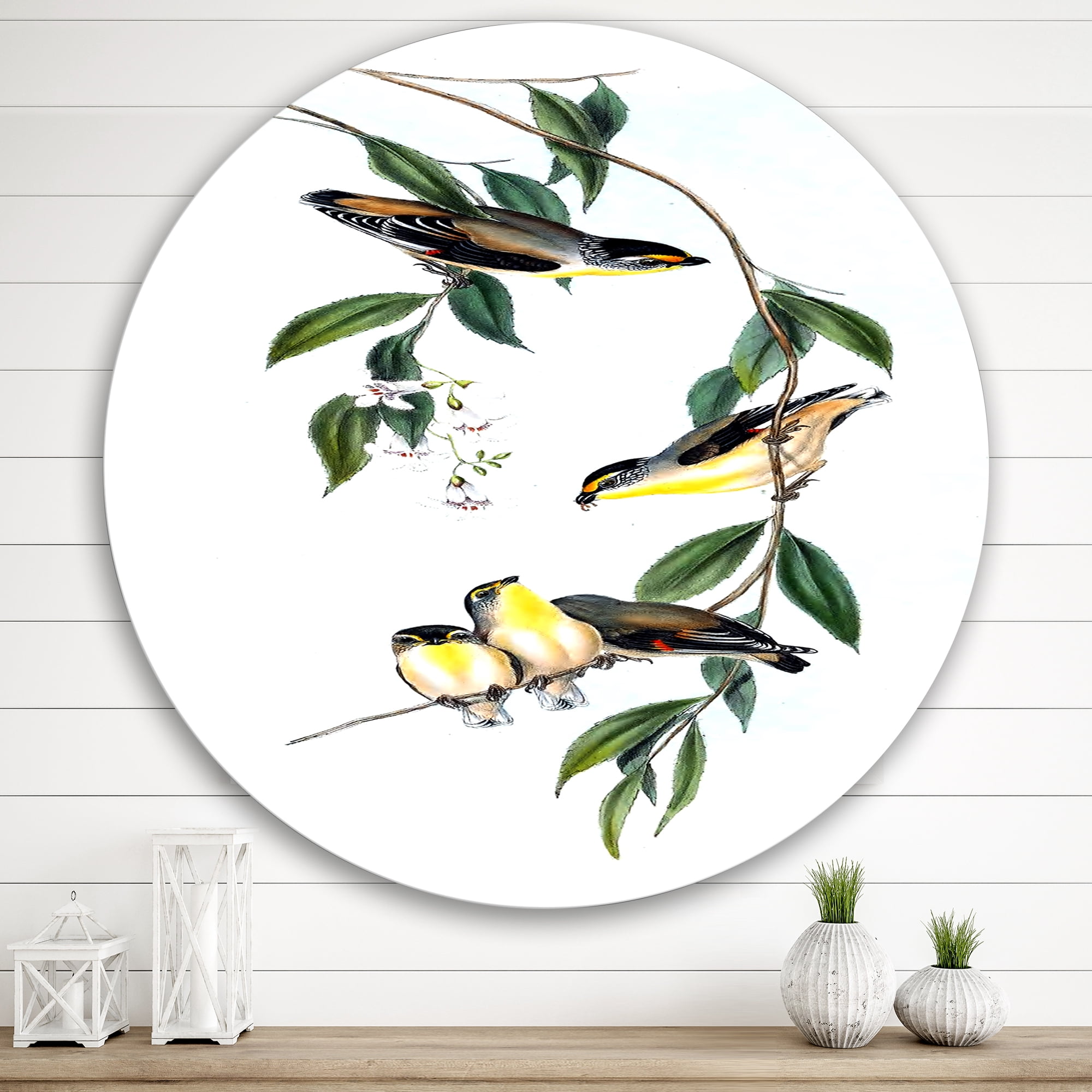 Designart 'Ancient Bird III' Traditional Circle Metal Wall Art 36x36 - Disc of 36
