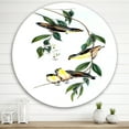 thumbnail image 2 of Designart 'Ancient Bird III' Traditional Circle Metal Wall Art 36x36 - Disc of 36, 2 of 5