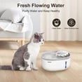 thumbnail image 2 of Fuente de agua NPET Cat White Grey de 2 litros con nivel de agua visible, 2 of 7
