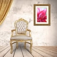 thumbnail image 3 of Schell, Jennie Marie 23x32 Gold Ornate Wood Framed with Double Matting Museum Art Print Titled - Pink Daylily Macro Flower, 3 of 4