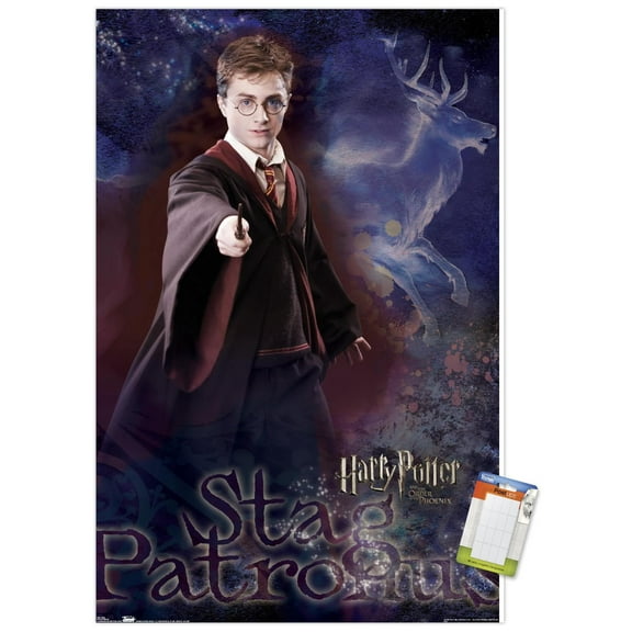 Harry Potter and the Order of the Phoenix - Patronus Wall Poster, 22.375" x 34"