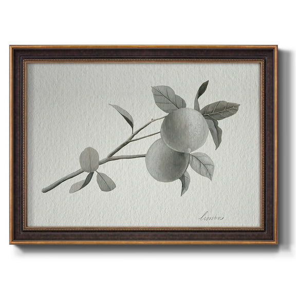 Limonero II Premium Framed Canvas- Ready to Hang