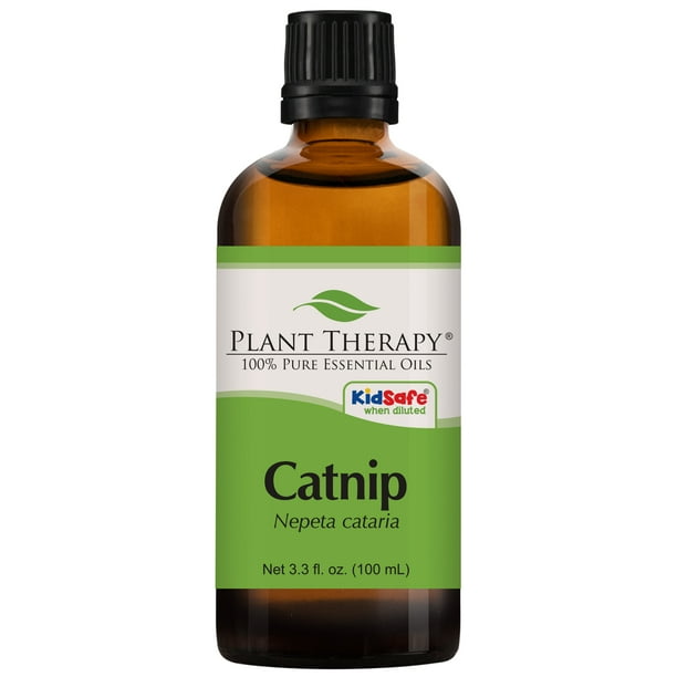 BioFinest Catnip Oil - 100% Pure Catnip Essential Oil - Boost appetite,  Detox, Relax Mind - Premium Quality - Therapeutic Grade - Best For  Aromatherapy - FREE E-Book (100ml /3.4 fl.Oz) - Newegg.com