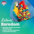 thumbnail image 6 of Super Bird Creations SB439 Beakasaurus Bird Toy - Vibrant Bird Toy for Macaws, Parrots, Eclectus & African Greys with Chewable Elements - Perfect Toy for Beak Health - Large to XL Bird Size, 6 of 7