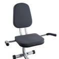 stamina wirk ride exercise bike