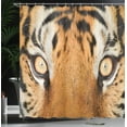 thumbnail image 4 of Ambesonne Orange Black Shower Curtain, Tiger Eyes Wild, 69"Wx70"L, Orange Black, 4 of 5