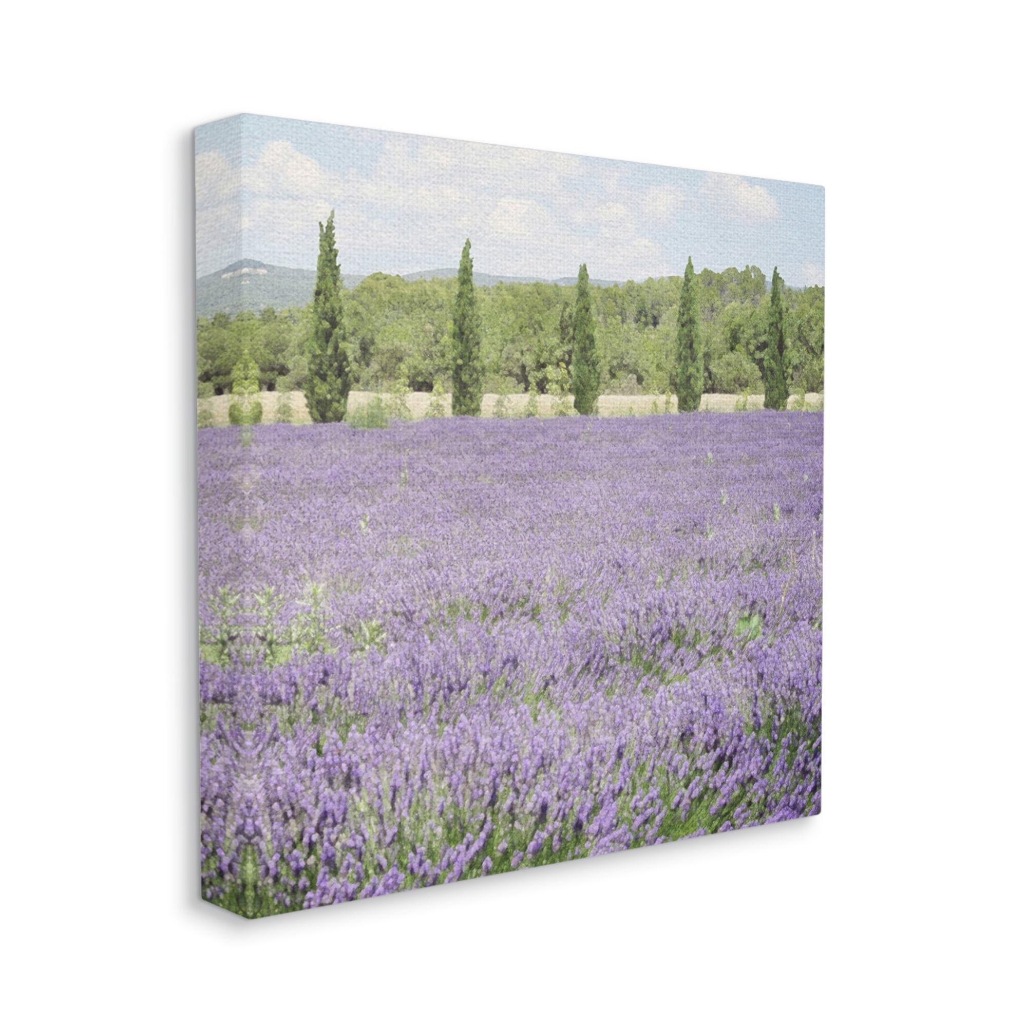 Stupell Industries Country Lavender Meadow Nature Painting Gallery Wrapped Canvas Print Wall Art, 17 x 17