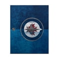 thumbnail image 2 of Head Case Designs Officially Licensed NHL Winnipeg Jets Half Distressed Vinyl Sticker Skin Decal Cover Compatible with Microsoft Xbox One X Console, 2 of 8