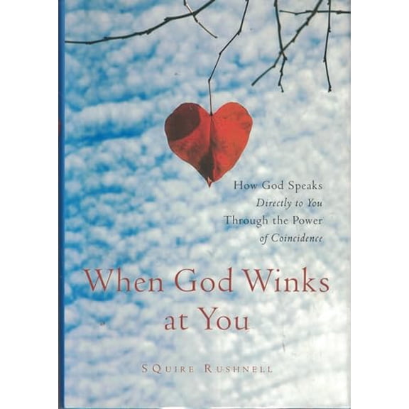 Pre-Owned When God Winks At You