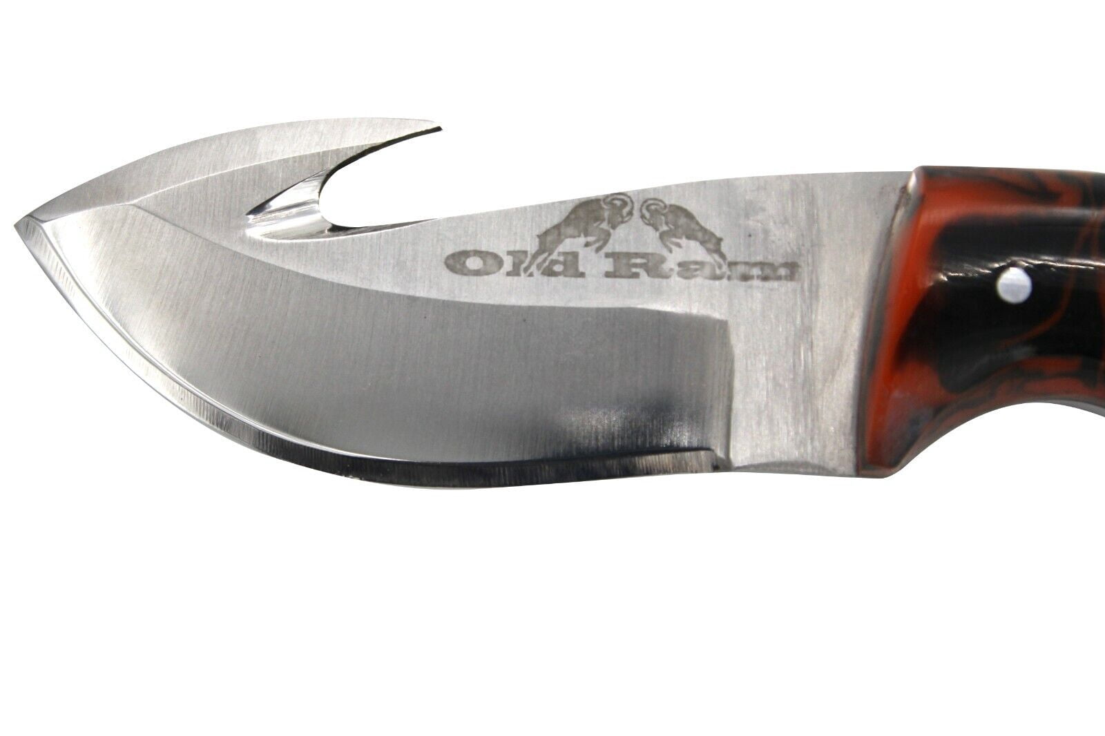 Old Ram Gut Hook Deer Skinner Fixed Blade Sharp Hunting Camping Knife w/ Sheath