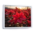 thumbnail image 2 of Designart "Red Poinsettias landscape III" Floral Floater Framed Canvas Art Print, 2 of 7