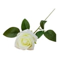 thumbnail image 4 of Flores de rosas artificiales, rosas de flores realistas, rosas de imitación para arreglos florales, accesorios de fotografía para bodas y cumpleaños, ,, 4 of 8