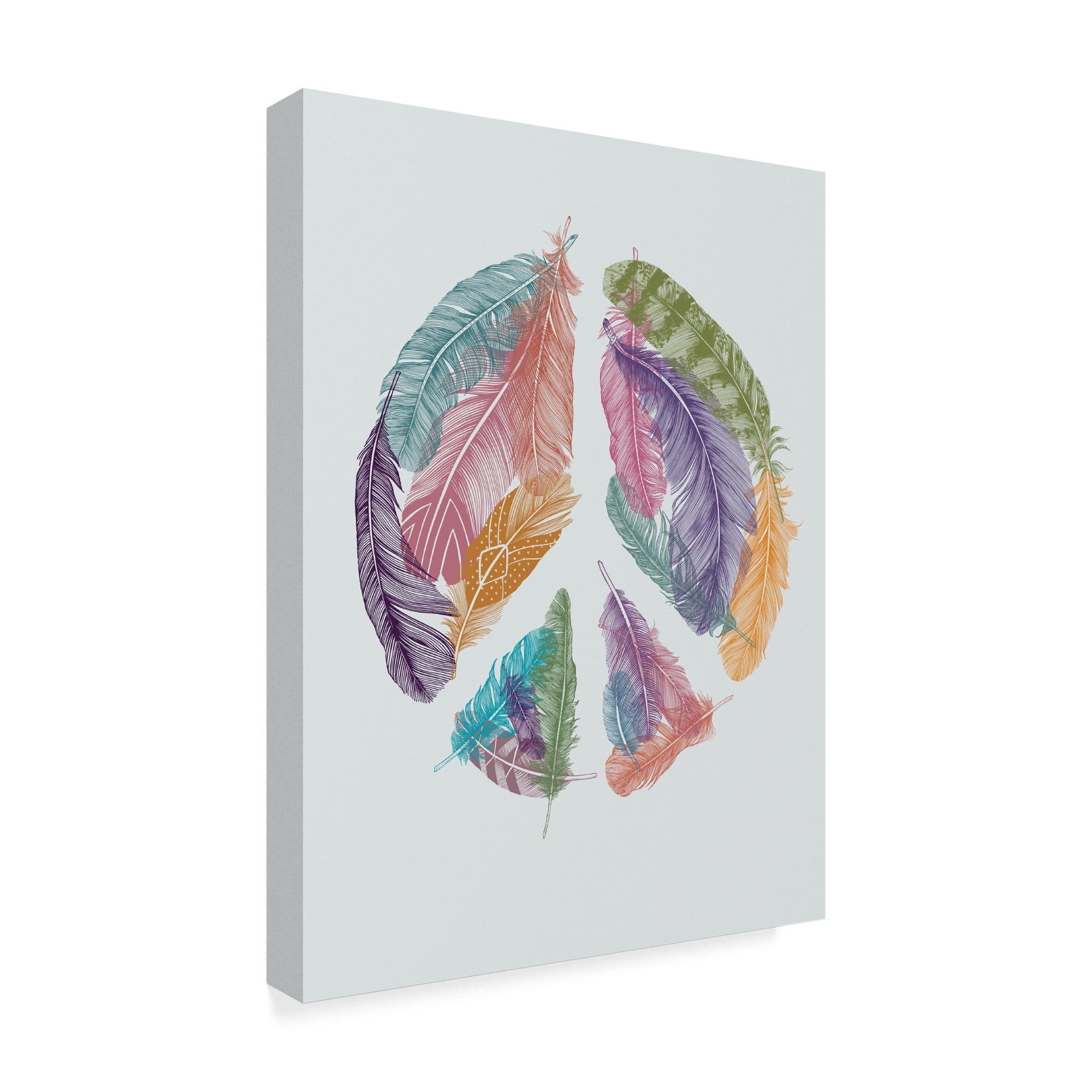 Trademark Fine Art 'Feathers For Peace' Canvas Art by Rachel Caldwell