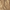 Bronze, variant on Bedford Cottage Rose Petal Faux Fur Throw Color: Cream