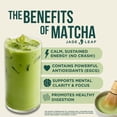 thumbnail image 3 of Jade Leaf Matcha - Traditional Bamboo Whisk (Chasen) + Scoop (Chashaku) - Replacement Tea Set for Frequent Green Tea Powder Preparation - Great Gift for Matcha Lovers, 3 of 6