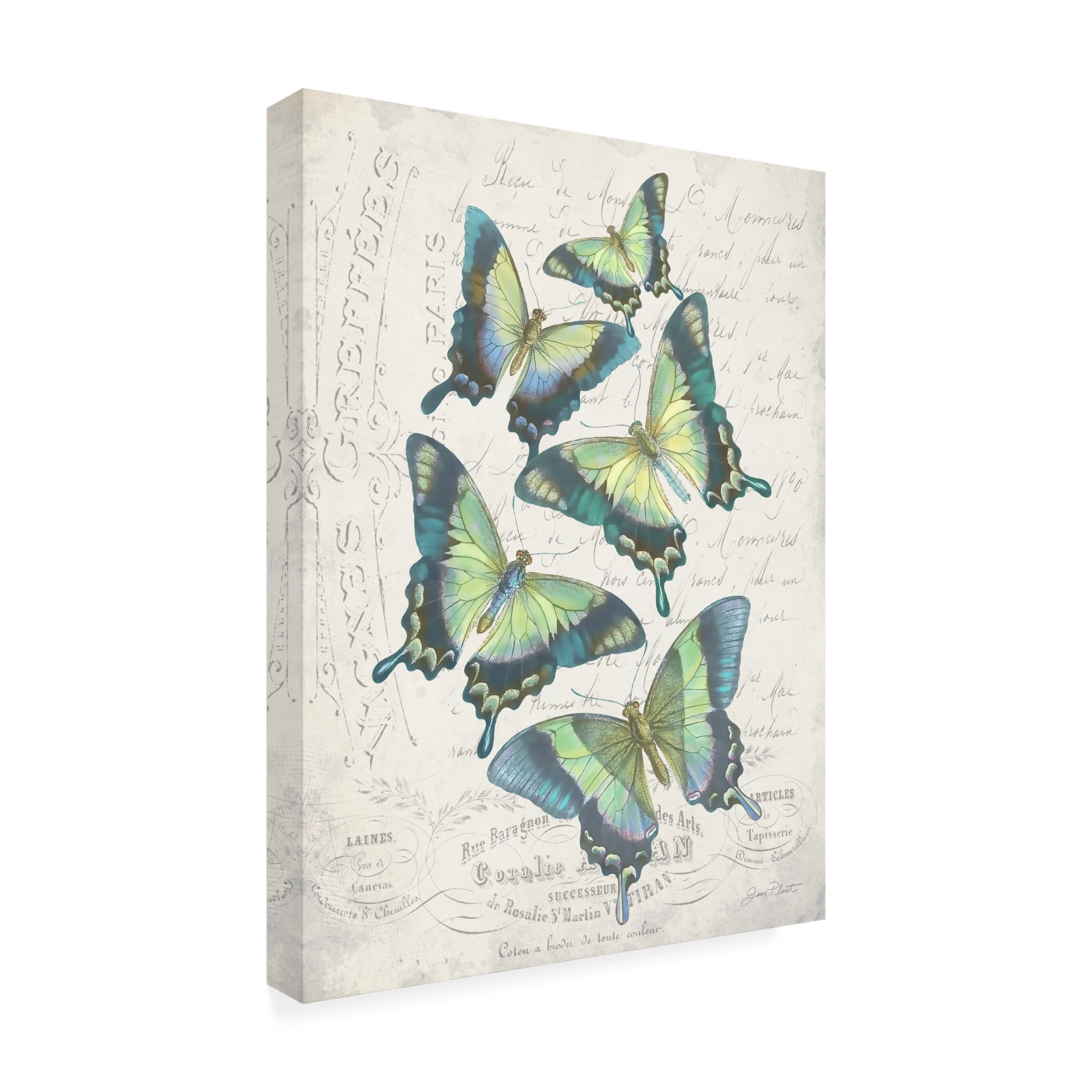 Canvas Wall Art - Jean Plout 'Gorgeous French Butterflies' Wall Art for Living Room, Bedroom, or Office Décor by Trademark Fine Art - 14 x 19 Inches