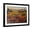 Black Frame, variant on Art.com Tuscany I Stretched Canvas Print Wall Art by Tim O'toole, 32" x 24"