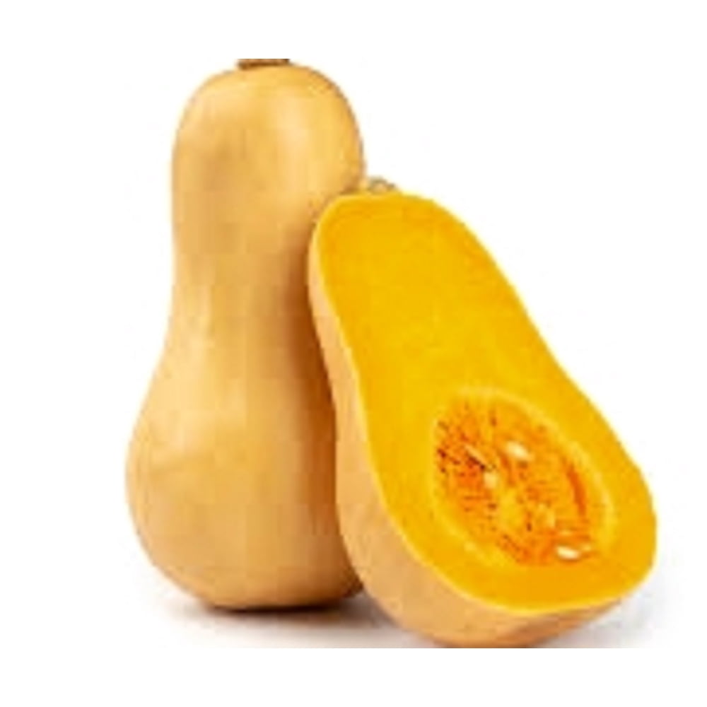 30 Butternut Winter Squash Seeds NONGMO Fresh Heirloom Garden