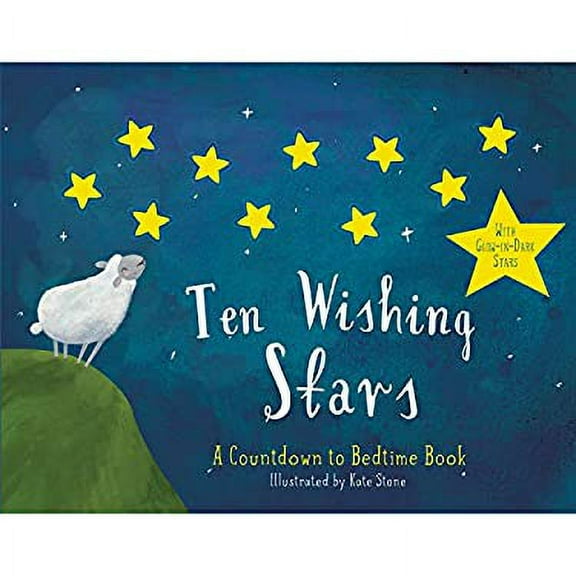Pre-Owned Bendon Piggy Toes Press Ten Wishing Stars Counting Storybook 33693 9781505012064