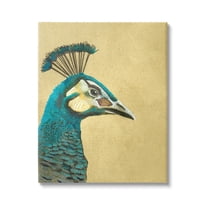 Stupell Industries Peacock Looking Right Animals & Insects Painting Gallery Wrapped Canvas Art Print Wall Art, 16 x 20